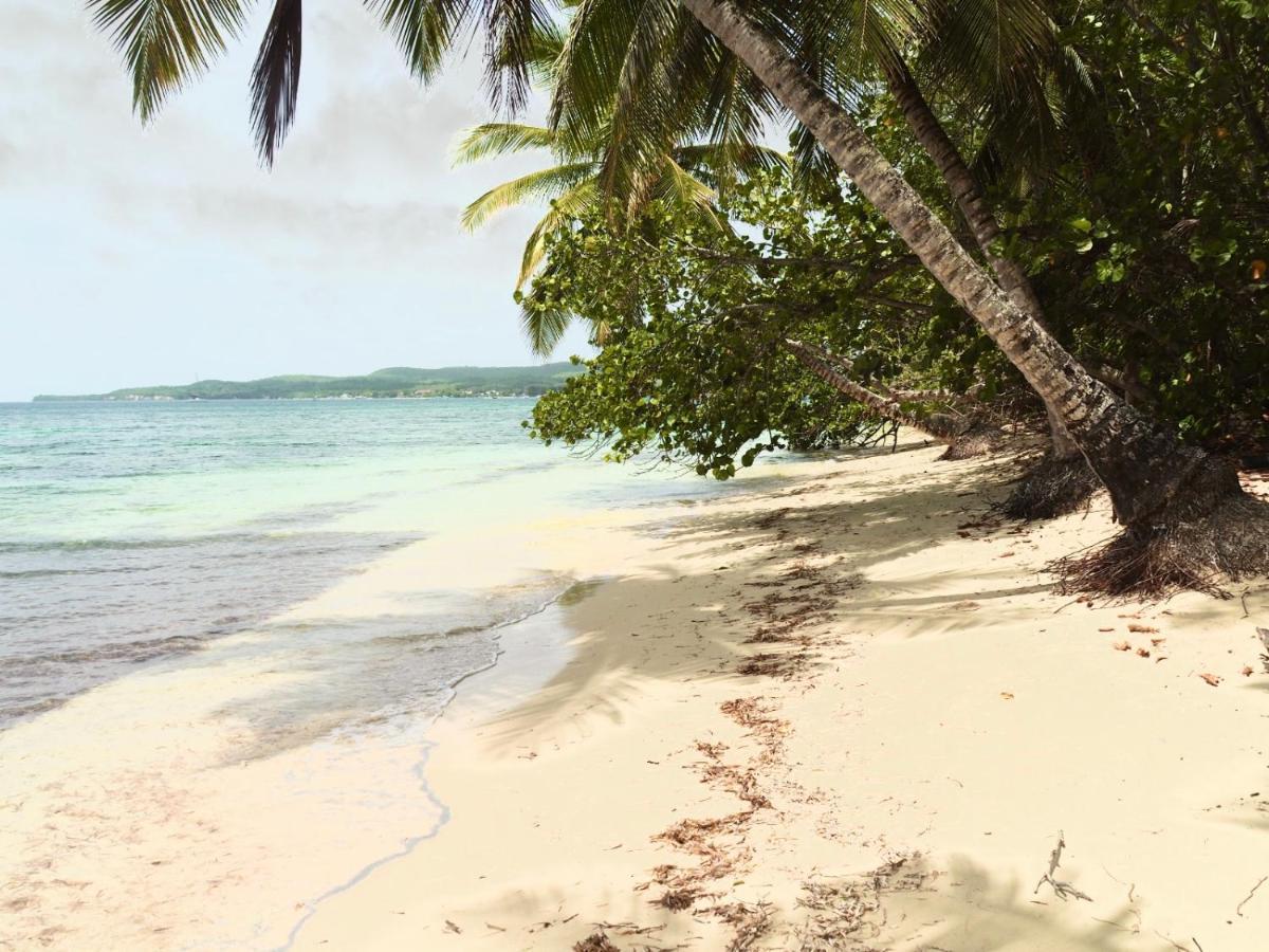 L Oralya - Blue Dream, Plage, Piscine, Restaurant Grand-Bourg (Marie Galante) 外观 照片