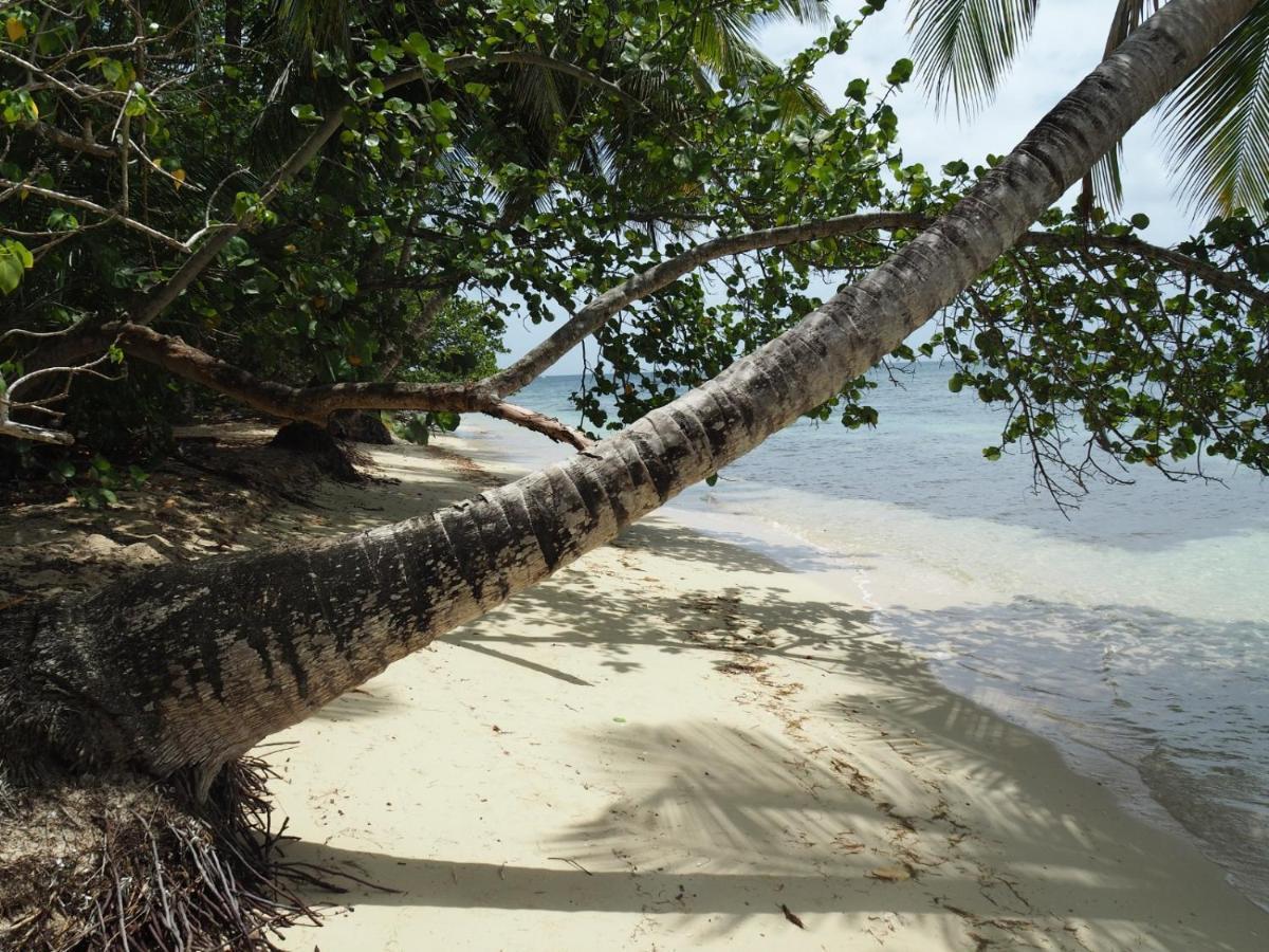 L Oralya - Blue Dream, Plage, Piscine, Restaurant Grand-Bourg (Marie Galante) 外观 照片