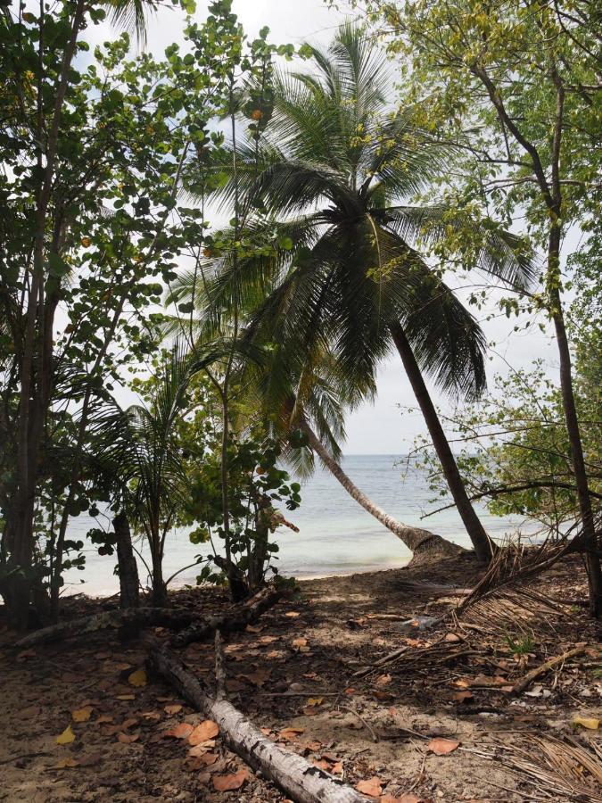 L Oralya - Blue Dream, Plage, Piscine, Restaurant Grand-Bourg (Marie Galante) 外观 照片
